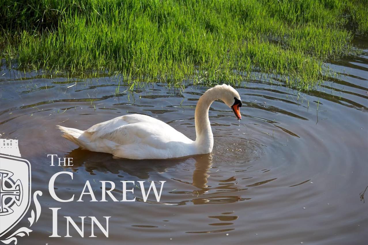 Carew Inn Esterno foto